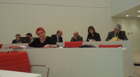 Rede zur Debatte zur Umsetzung des Asyverfahrensbeschleunigungsgesetzes in Brandenburg