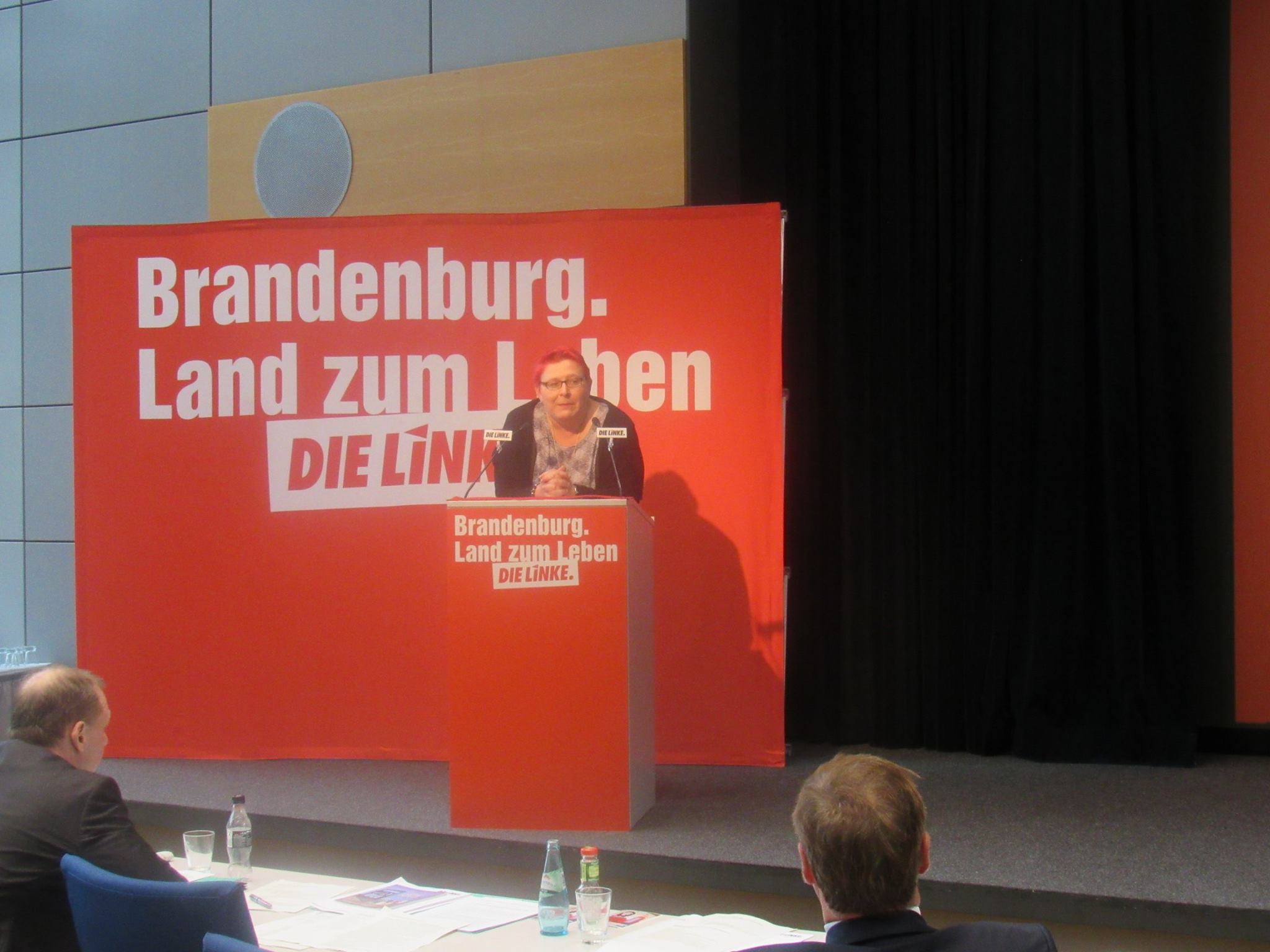 Rede auf dem Landesparteitag der LINKEN in Brandenburg zum Antrag zur Flüchtlings- und Integrationspolitik