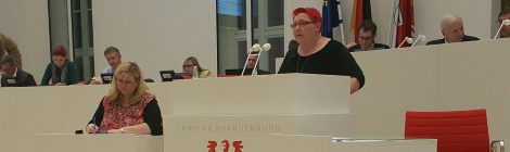 Rede zum Antrag der AfD "Voraussetzung  für  die  ordnungsgemäße  Arzneimittelüberwachung  im  Land  Brandenburg schnell herstellen"