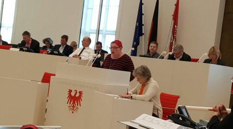 Rede zum Bericht der Landesregierung zur Situation von unbegleiteten minderjährigen Ausländern in Brandenburg