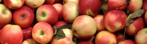 Pressemitteilung: Schulessen verbessern und künftig Äpfel aus der Region