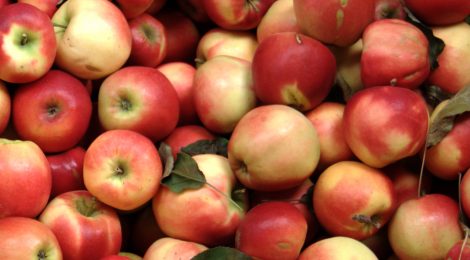 Pressemitteilung: Schulessen verbessern und künftig Äpfel aus der Region