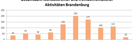 Nachgefragt: Fremdenfeindliche und neonazistische Aktivitäten in Brandenburg im 1. Quartal 2019 – Ausführliche Auswertung mit Übersichten