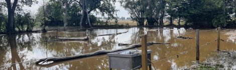 Besuch bei Betroffenen des Hochwassers aufgrund Starkregens in Wernitz