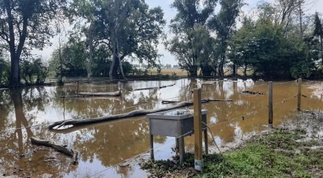 Besuch bei Betroffenen des Hochwassers aufgrund Starkregens in Wernitz